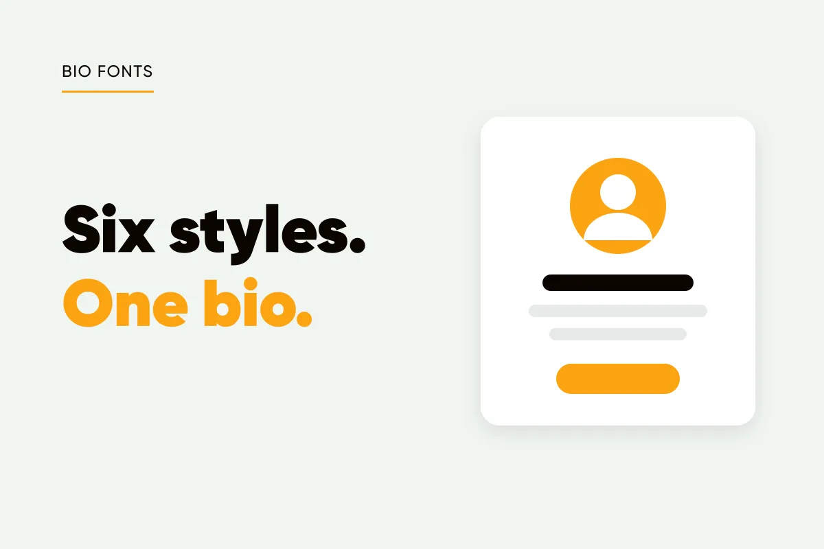 Branded cover with a profile card illustration and the headline six styles, one bio