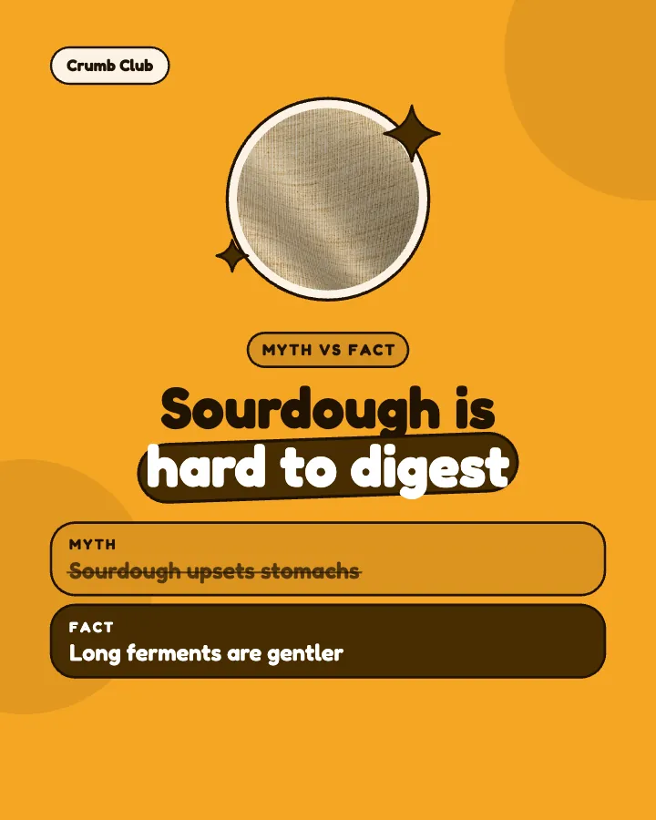 Crumb Club post: "Sourdough is hard to digest" (myth vs fact, Playful style)