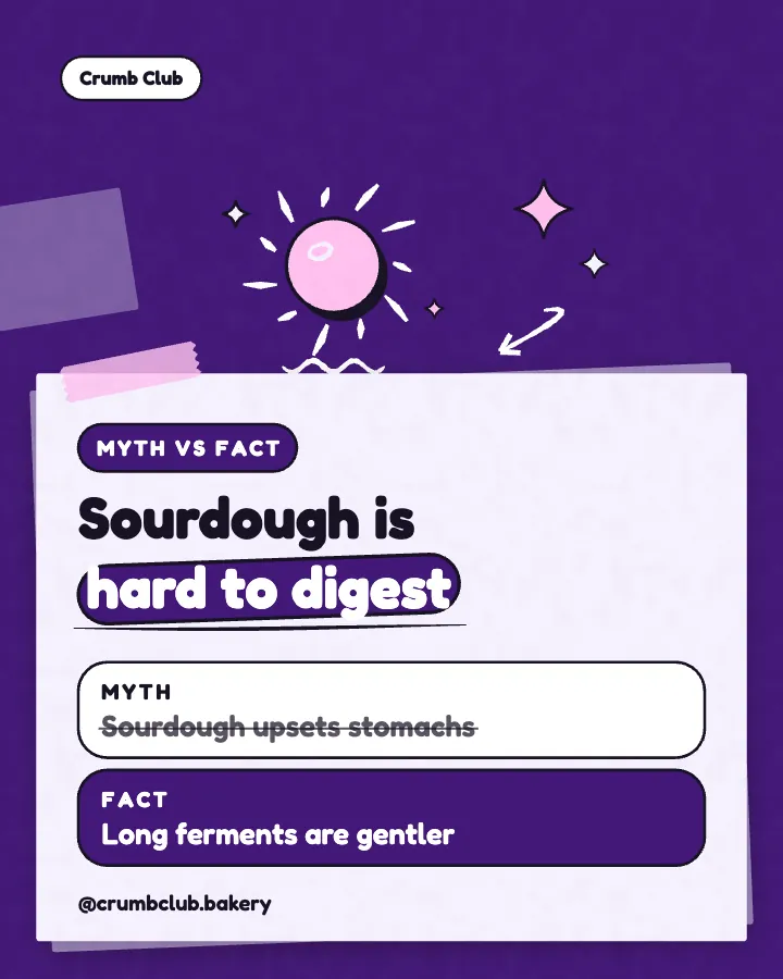 Crumb Club post: "Sourdough is hard to digest" (myth vs fact, Playful style)