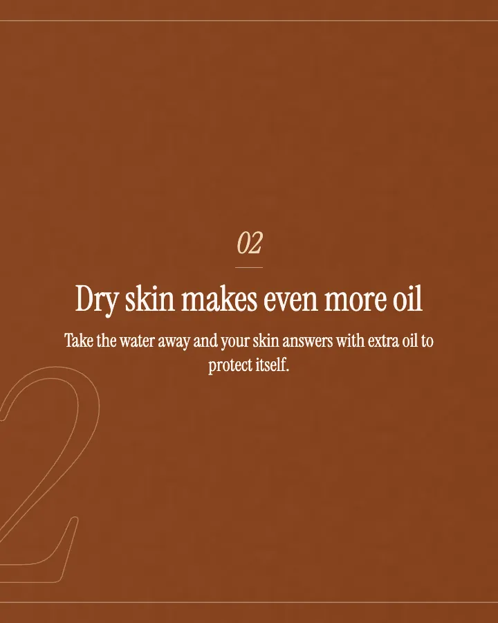 Salt & Stone carousel, slide 3, "Dry skin makes even more oil": Take the water away and your skin answers with extra oil to protect itself. (Editorial style)